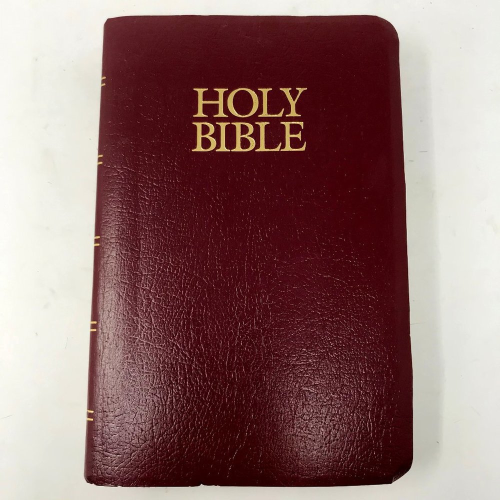 Bible New International Version Zondervan Red